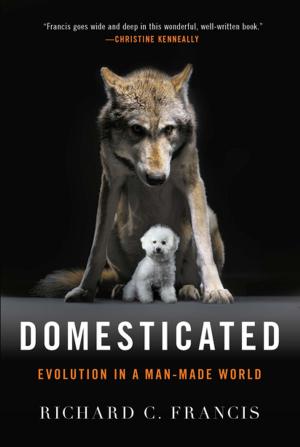 Book cover of Domesticated: Evolution in a Man-Made World