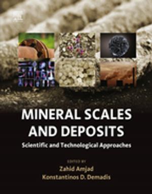 Cover of the book Mineral Scales and Deposits by Randy O. Wayne