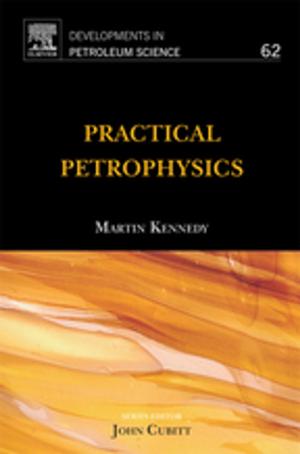 Cover of the book Practical Petrophysics by Peter Koopman