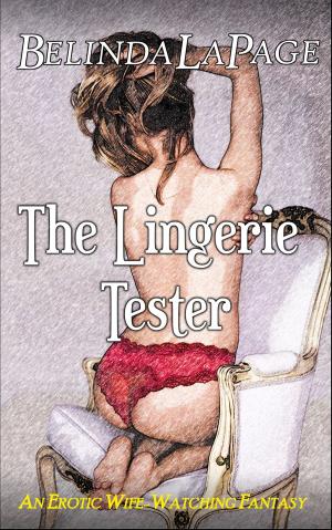 Book cover of The Lingerie Tester: An Erotic Wife Watching Fantasy
