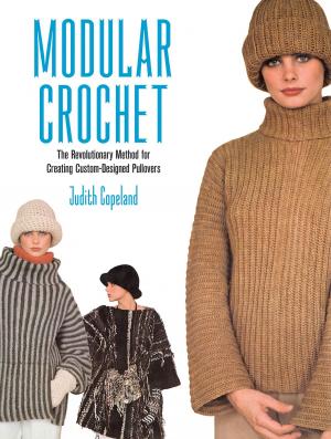 Cover of the book Modular Crochet by David Dutkanicz