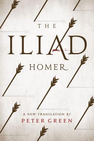 Cover of the book The Iliad by Frances Malamud-Roam, B. Lynn Ingram