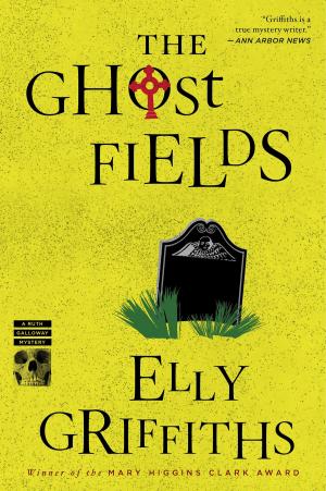 Cover of the book The Ghost Fields by Peter Tong