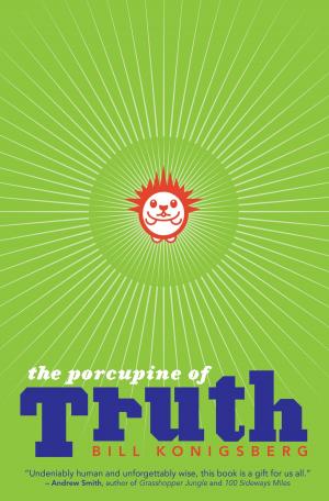 Cover of the book The Porcupine of Truth by Ann M. Martin