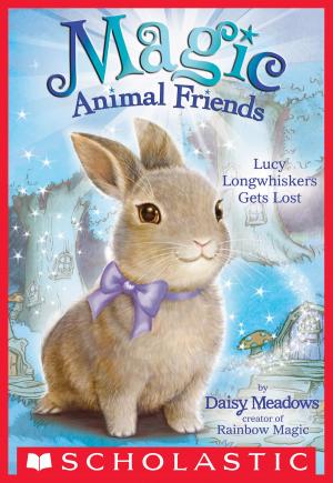 Cover of the book Lucy Longwhiskers Gets Lost (Magic Animal Friends #1) by Rebecca L. Schmidt