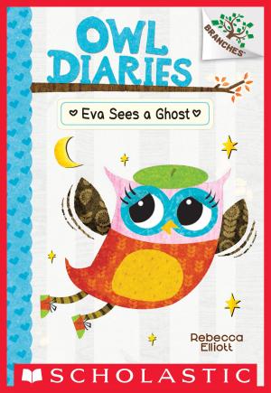 Book cover of Eva Sees a Ghost: A Branches Book (Owl Diaries #2)