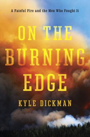 Cover of the book On the Burning Edge by Lynn Shepherd