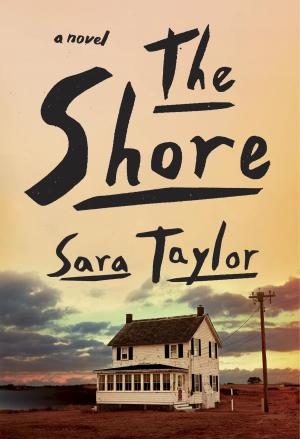 Cover of the book The Shore by Jen Greyson