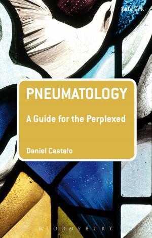 Cover of the book Pneumatology: A Guide for the Perplexed by Dr Ariel Ezrachi