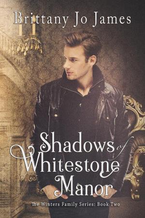 Cover of the book Shadows of Whitestone Manor by Pat White