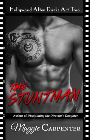Cover of the book The Stuntman by SJ Byrne