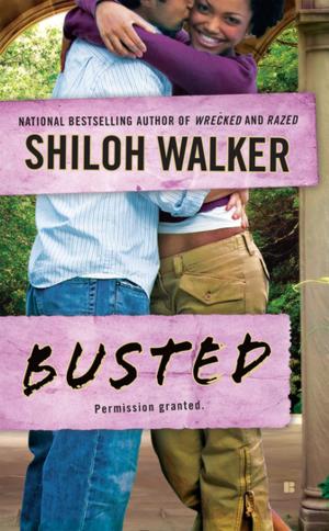 Cover of the book Busted by Maeve Binchy