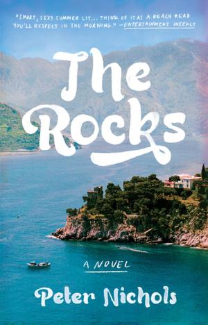 Book cover of The Rocks