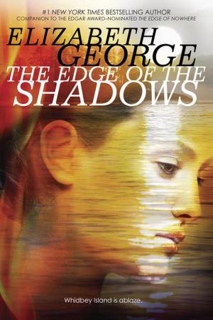 Cover of the book The Edge of the Shadows by Cari Meister