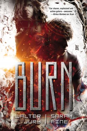 Cover of the book Burn by Natasha Wing