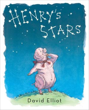 Book cover of Henry's Stars