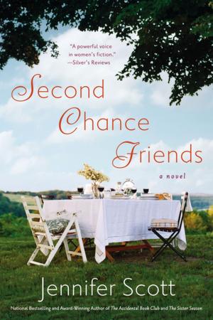 Cover of the book Second Chance Friends by Juliet Marillier