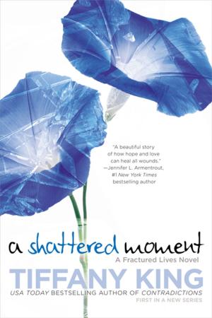 Cover of the book A Shattered Moment by Sarah Strohmeyer