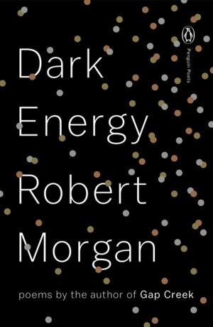 Cover of the book Dark Energy by Kamila Shamsie