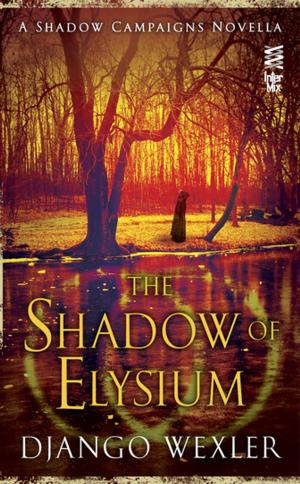 Cover of the book The Shadow of Elysium by Eleanor Morse