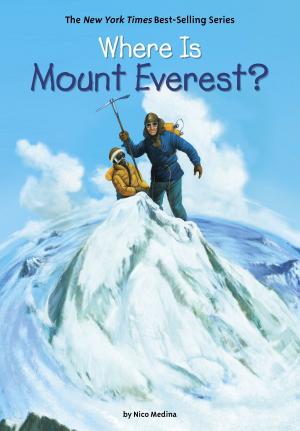 Cover of the book Where Is Mount Everest? by Melissa J. Morgan