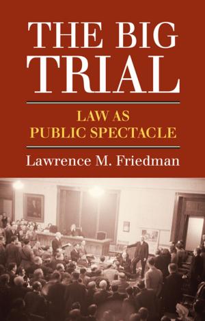 Book cover of The Big Trial