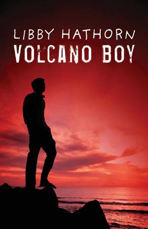Cover of the book Volcano Boy by Laurie Oakes