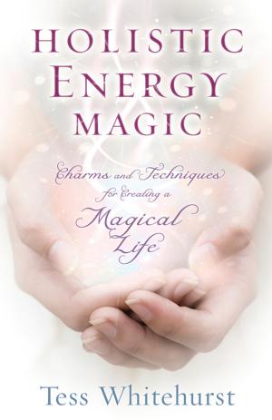 Cover of the book Holistic Energy Magic by Richard Webster