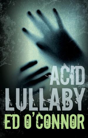 Cover of the book Acid Lullaby by Jack Ludlow