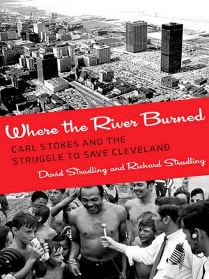 Cover of the book Where the River Burned by J. K. Barret