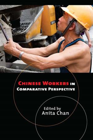 Cover of the book Chinese Workers in Comparative Perspective by Matthew J. Ambrose