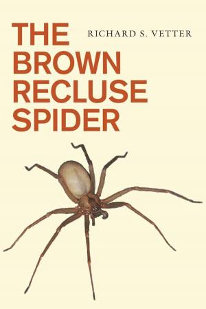 Cover of the book The Brown Recluse Spider by Suzy Anger