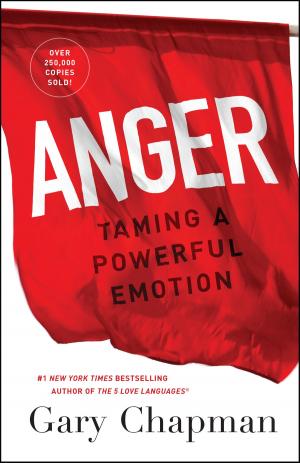 Cover of the book Anger by Patrick Morley, David Delk, Brett Clemmer