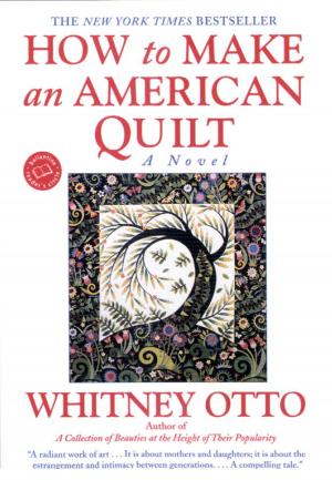 Cover of the book How to Make an American Quilt by Jason M. Hough