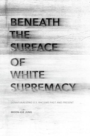 Cover of the book Beneath the Surface of White Supremacy by David Fetterman
