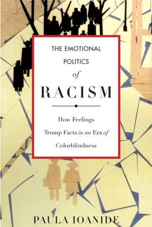 Cover of the book The Emotional Politics of Racism by Israel Drori, Shmuel Ellis, Zur Shapira