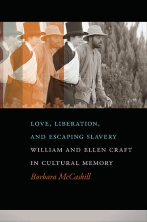 Cover of the book Love, Liberation, and Escaping Slavery by Erik Reece, James J. Krupa