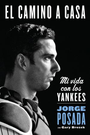 Book cover of camino a casa