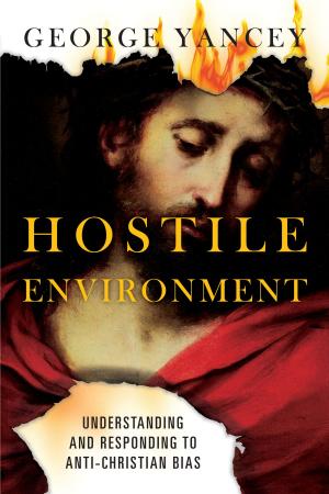 Cover of the book Hostile Environment by Keith R. Anderson