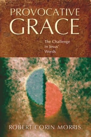 Cover of the book Provocative Grace by Melanie C. Gordon, Susan Groseclose, Gayle Quay