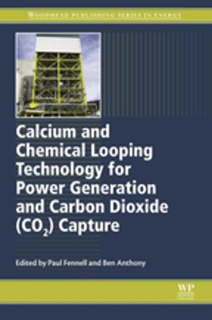 Cover of the book Calcium and Chemical Looping Technology for Power Generation and Carbon Dioxide (CO2) Capture by Nils Dalarsson, Mariana Dalarsson, Leonardo Golubovic