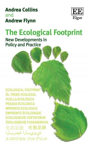 Cover of the book The Ecological Footprint by Simona Piattoni, Justus Schönlau
