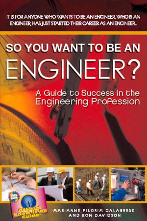 Cover of the book So you want to be an Engineer by Dave Rineberg