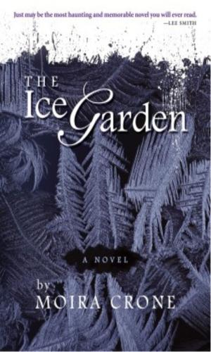 Cover of the book The Ice Garden by Jackie Eileen Behrend