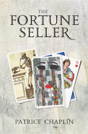 Book cover of The Fortune Seller