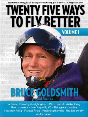 Book cover of Twenty Five Ways to Fly Better Volume 1
