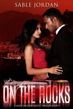 Book cover of On The Rocks
