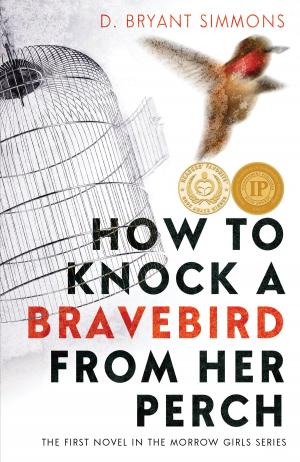 Cover of the book How to Knock a Bravebird from Her Perch by Janna Yeshanova MA, MEd, PCC
