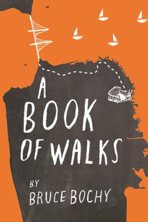 Cover of the book A Book of Walks by Brian Halpern