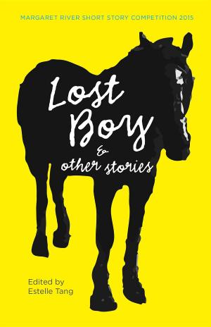 Cover of Lost Boy & other stories